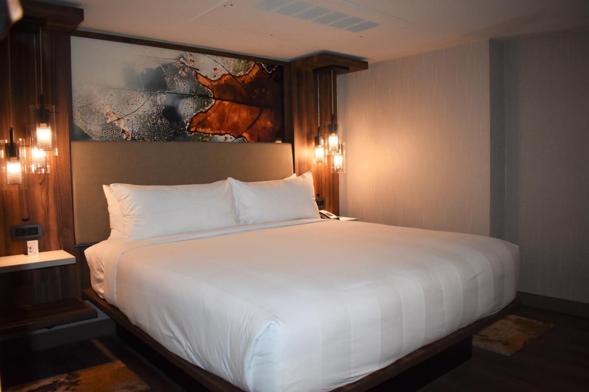 Hotel Chicago Marriott Oak Brook Exterior foto
